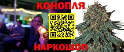 молекула духа Будённовск
