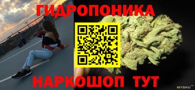 молекула духа Будённовск