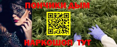 молекула духа Будённовск