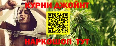 молекула духа Будённовск