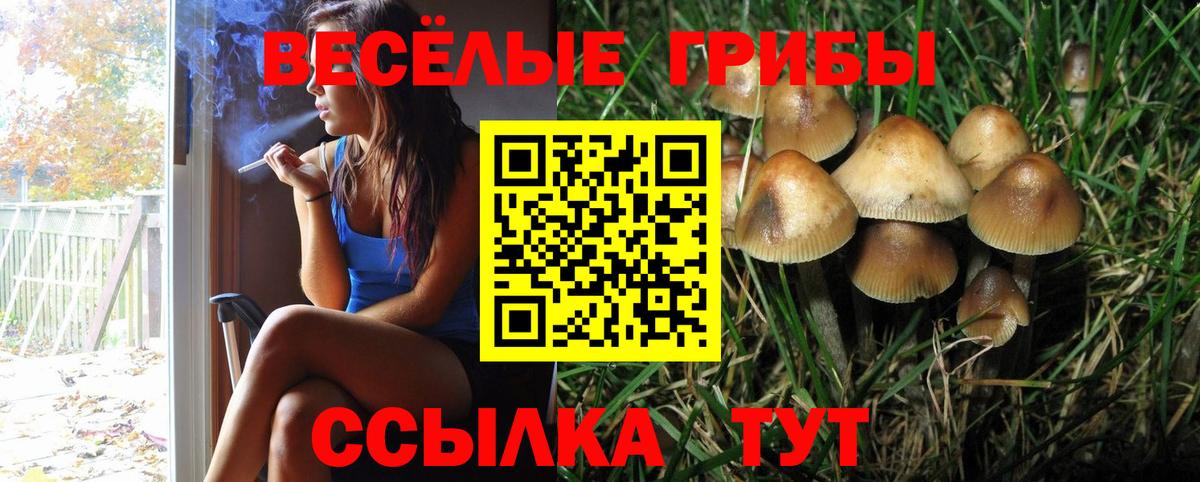 Галлюциногенные грибы Cubensis  Псилоцибиновые грибы Psilocybine cubensis  Маркс  Вход с VPN 